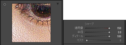 Lightroomでポートレートのディテール シャープとノイズを調整する方法 Lightroomの使い方
